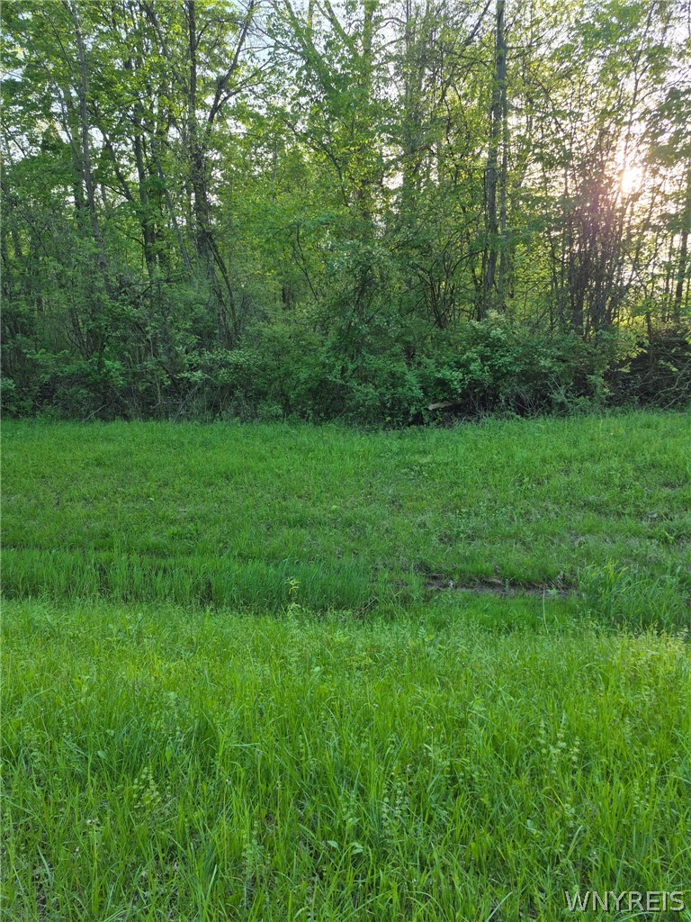 7860 Ditch Road Hartland, NY 14067 - Photo 6 of 7