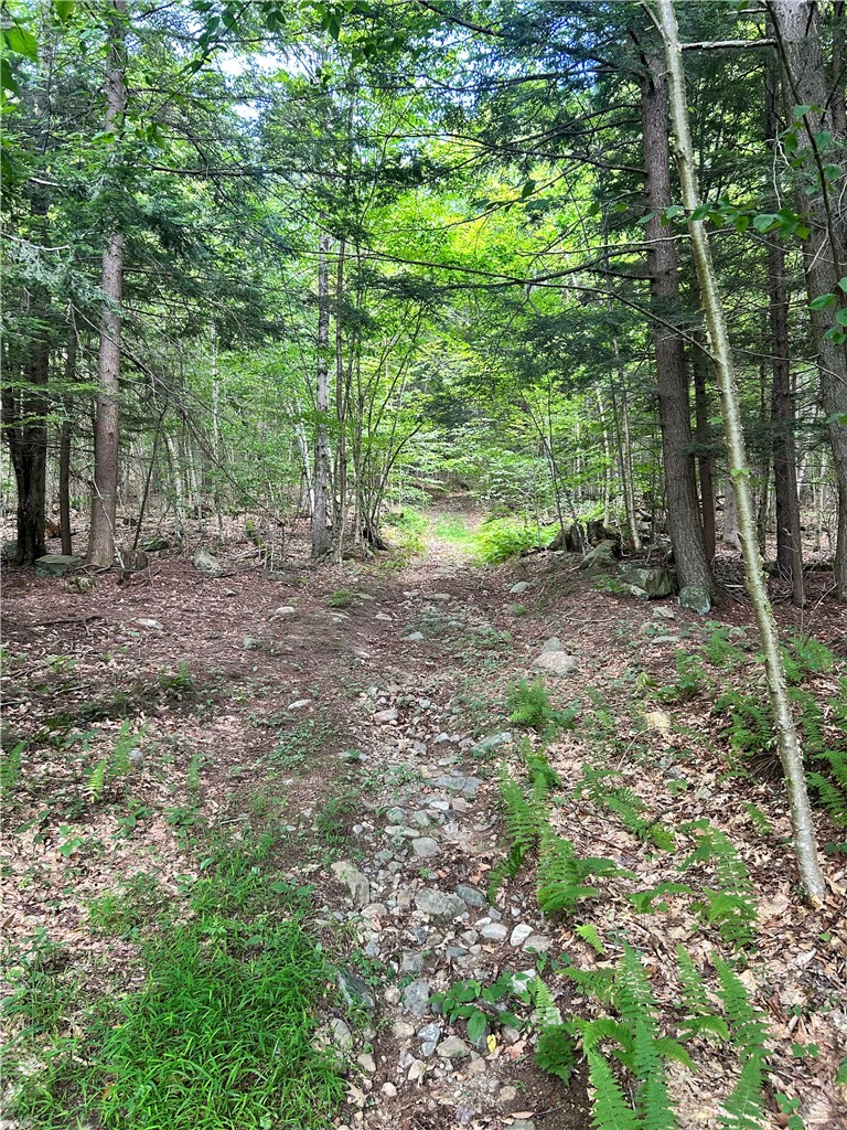 270 Collins-Gifford Valley Road Northampton, NY 12134 - Photo 12 of 26