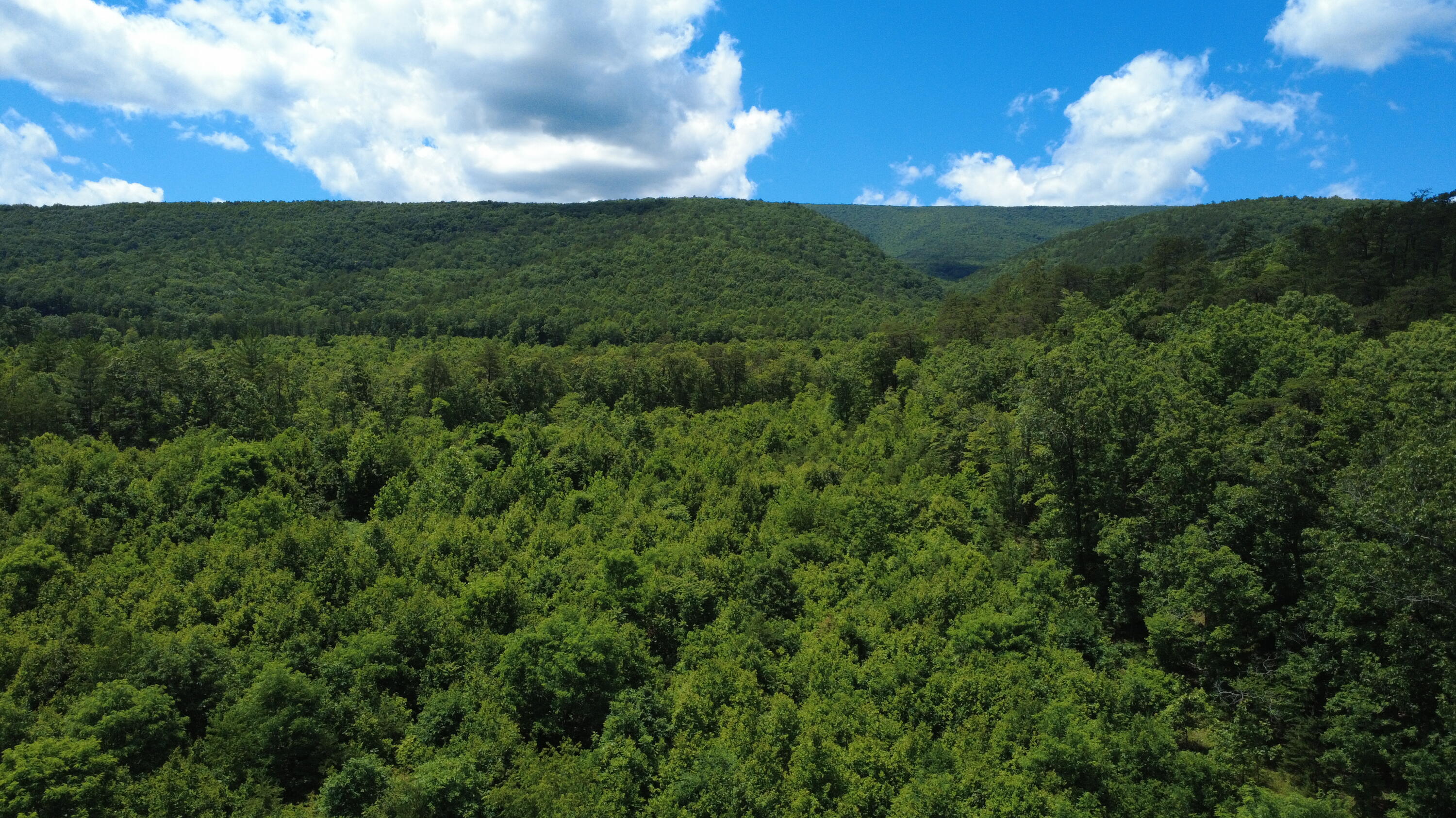 0 Craig Creek Road Eagle Rock, VA 24085 - Photo 20 of 25 a view of a city