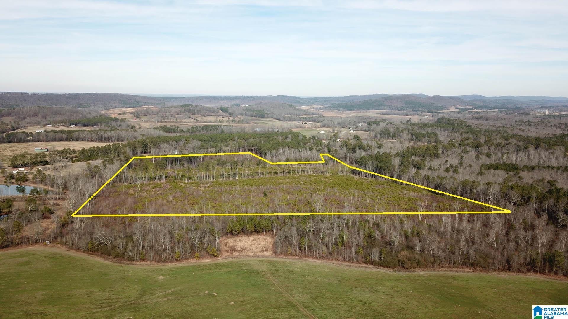 0 Altoona Cutoff Road, Unit 47 5 Oneonta, AL 35121 - Photo 8 of 36