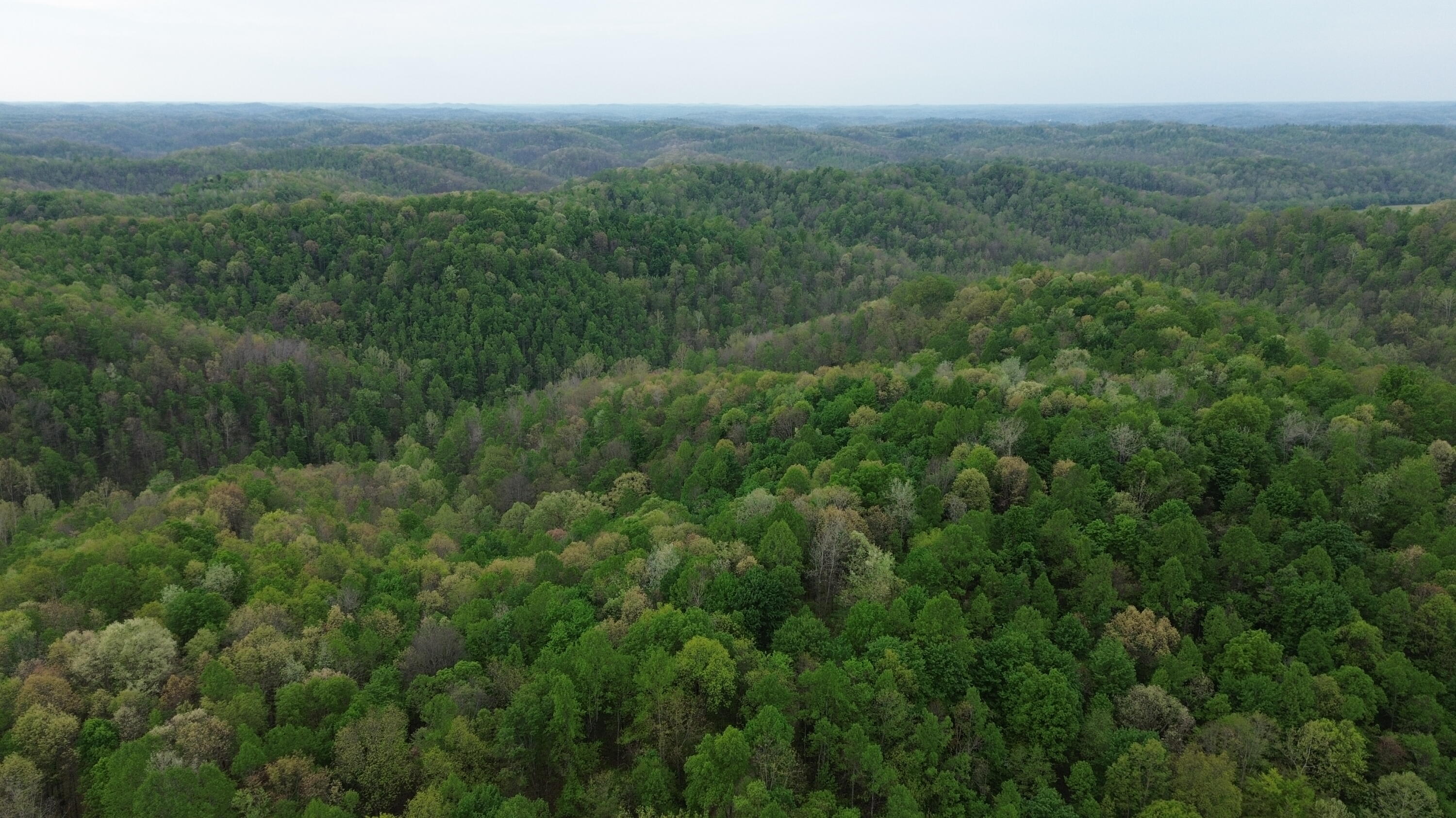 1271 A Tunnel Ridge Road Grayson, KY 41143 - Photo 100 of 134 Property View