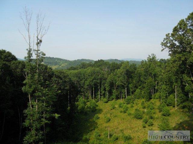 424 White Tail Ridge Road Boone, NC 28607 - Photo 16 of 24 Gallery Image 16