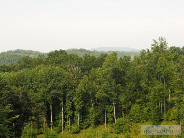 424 White Tail Ridge Road Boone, NC 28607 - Photo 17 of 24 Gallery Image 17