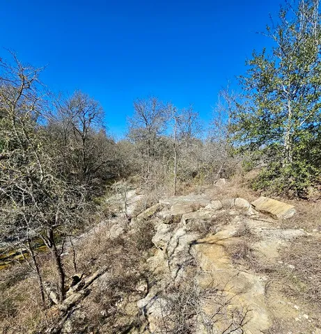 a view of a yard with a tree