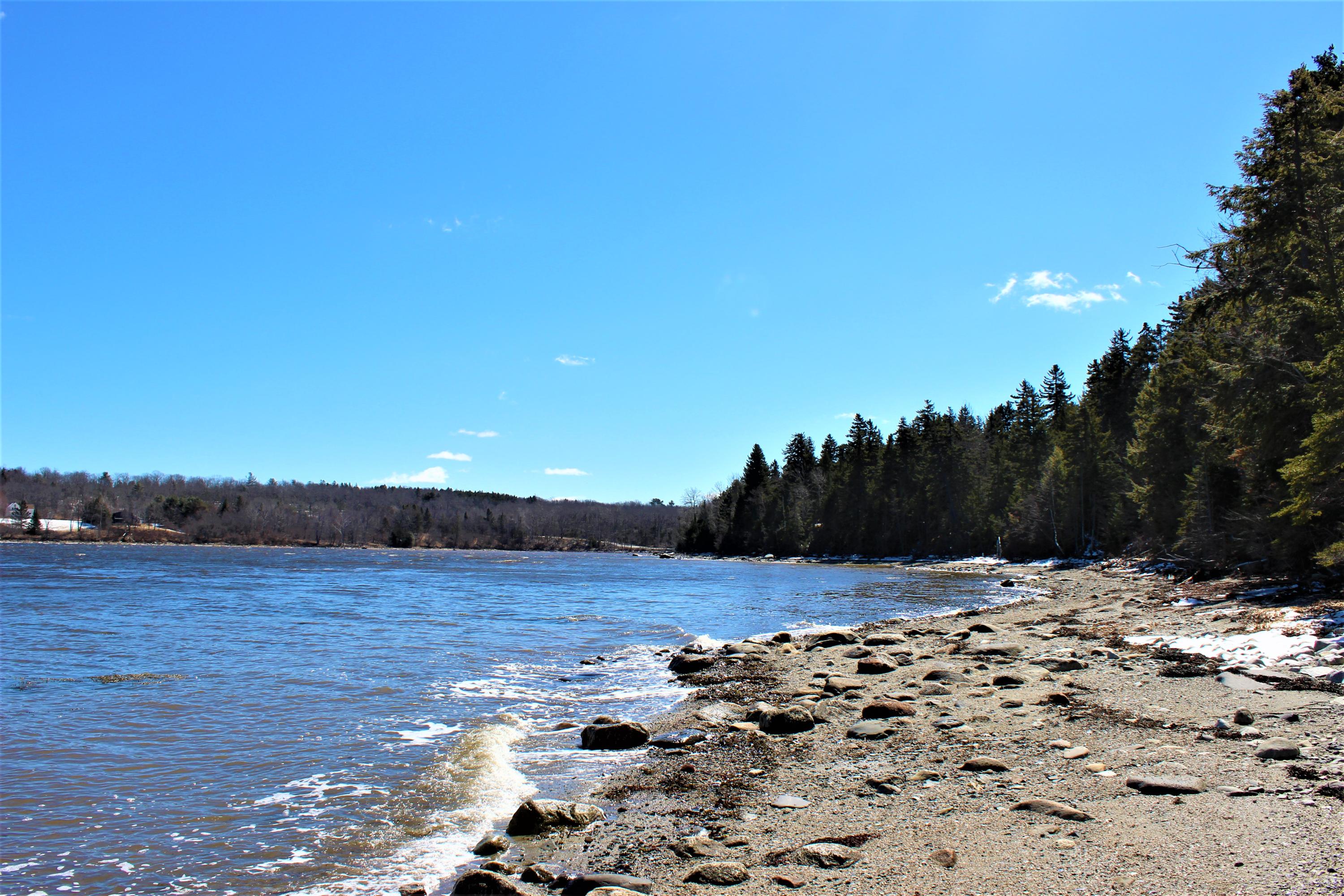 77 Wilson Point Road Castine, ME 04421 - Photo 18 of 83 IMG_5293