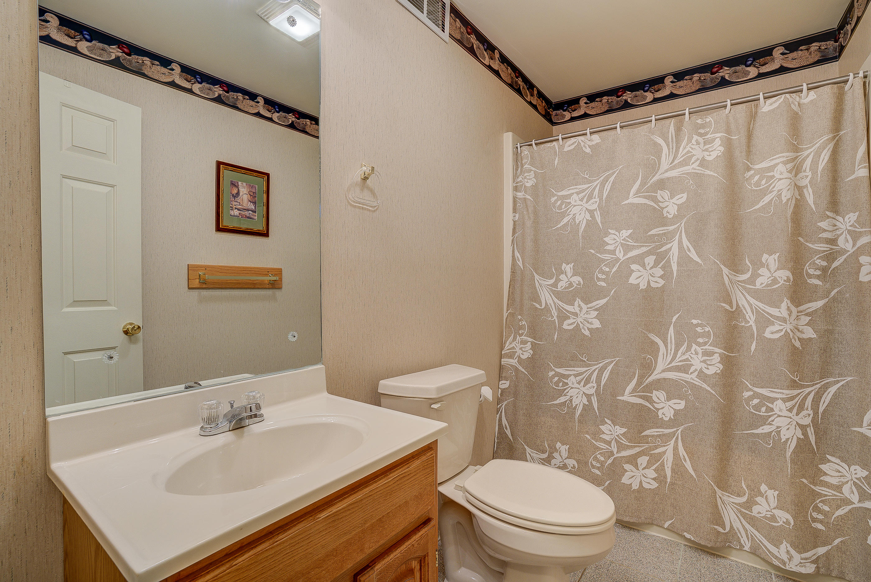 105 River Road North Covington, VA 24426 - Photo 42 of 77 a bathroom with a sink mirror vanity and toilet