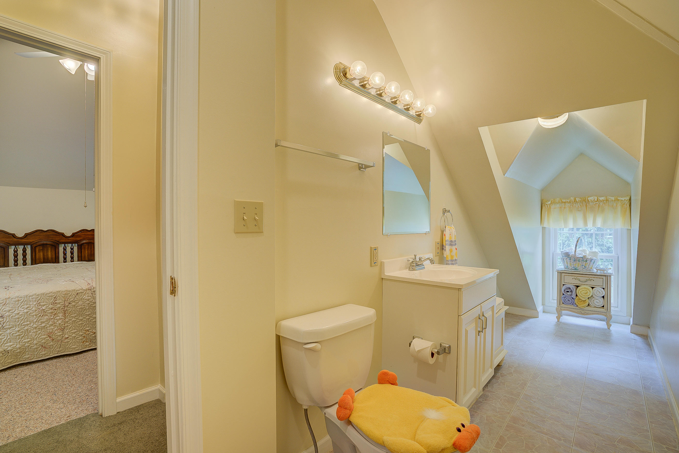 105 River Road North Covington, VA 24426 - Photo 69 of 77 a bathroom with a toilet a sink and a mirror