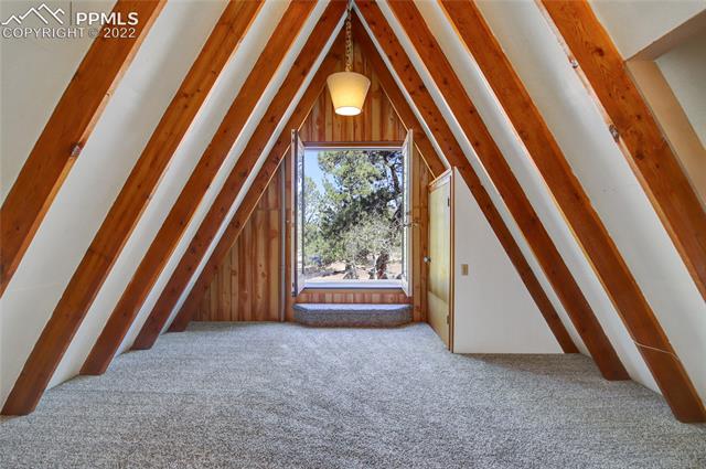 288 Berylium Road Florissant, CO 80816 - Photo 17 of 25