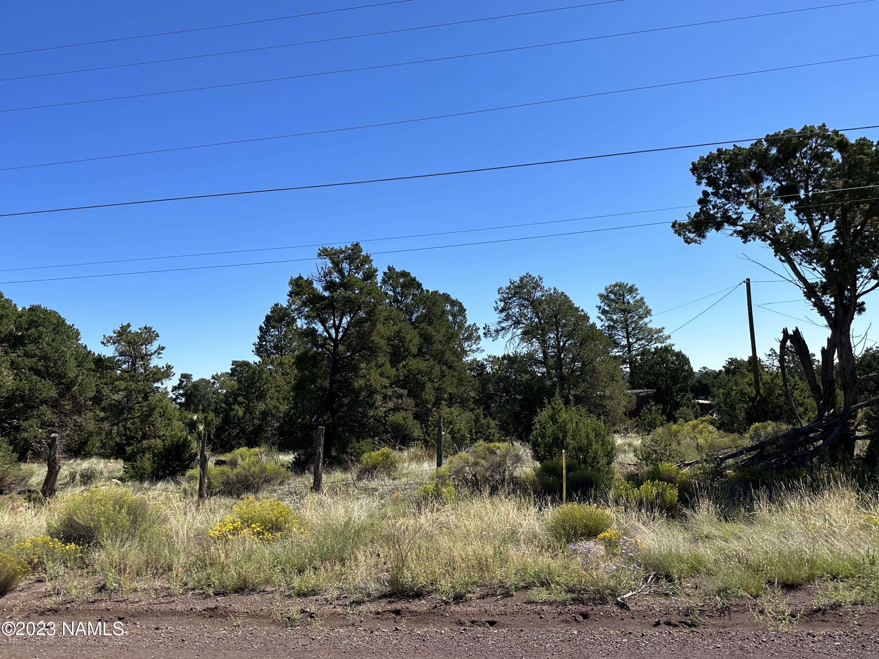 6237 Columbine Road Flagstaff, AZ 86004 - Photo 1 of 6 IMG_0108