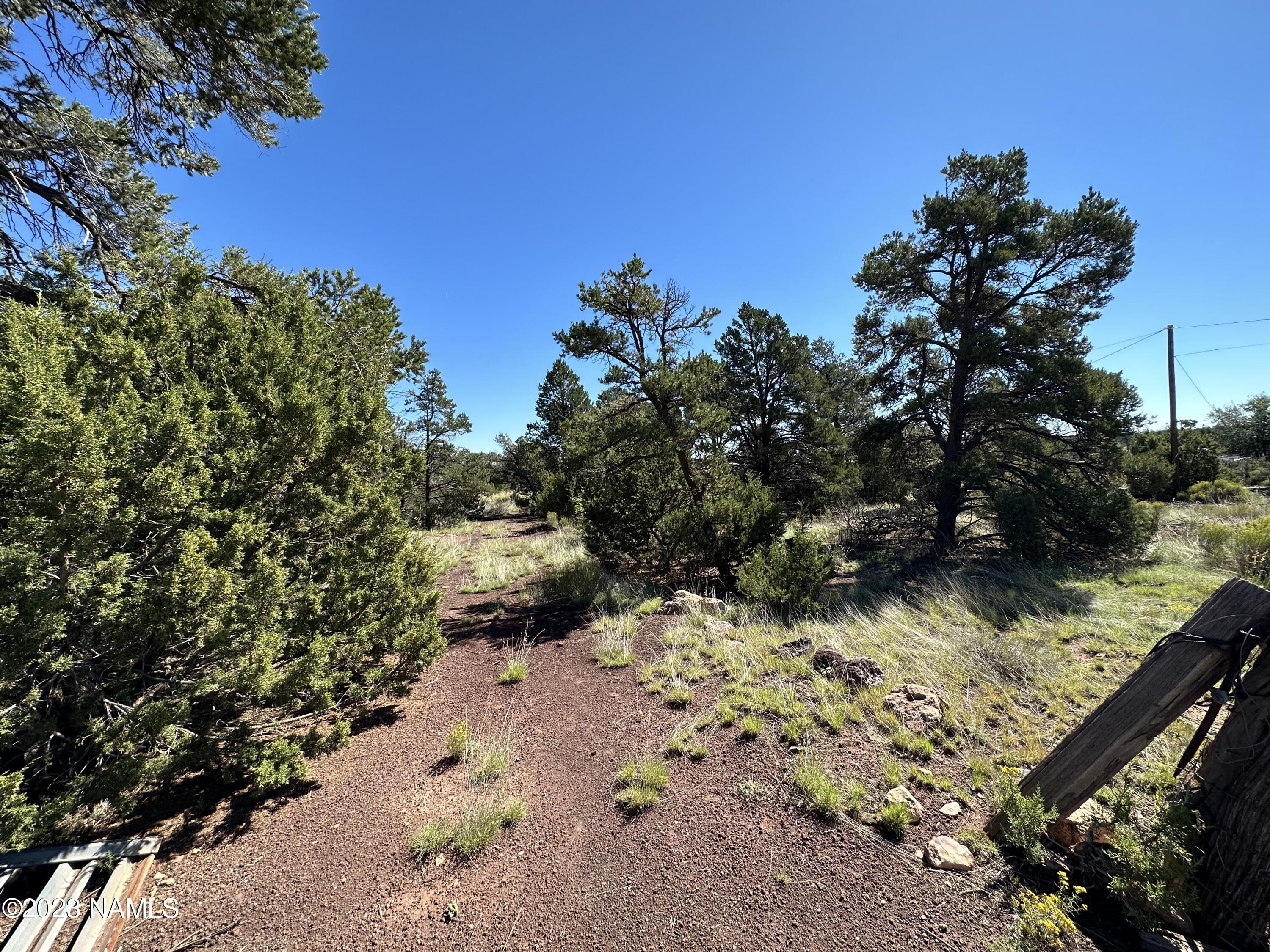 6237 Columbine Road Flagstaff, AZ 86004 - Photo 2 of 6 IMG_0106
