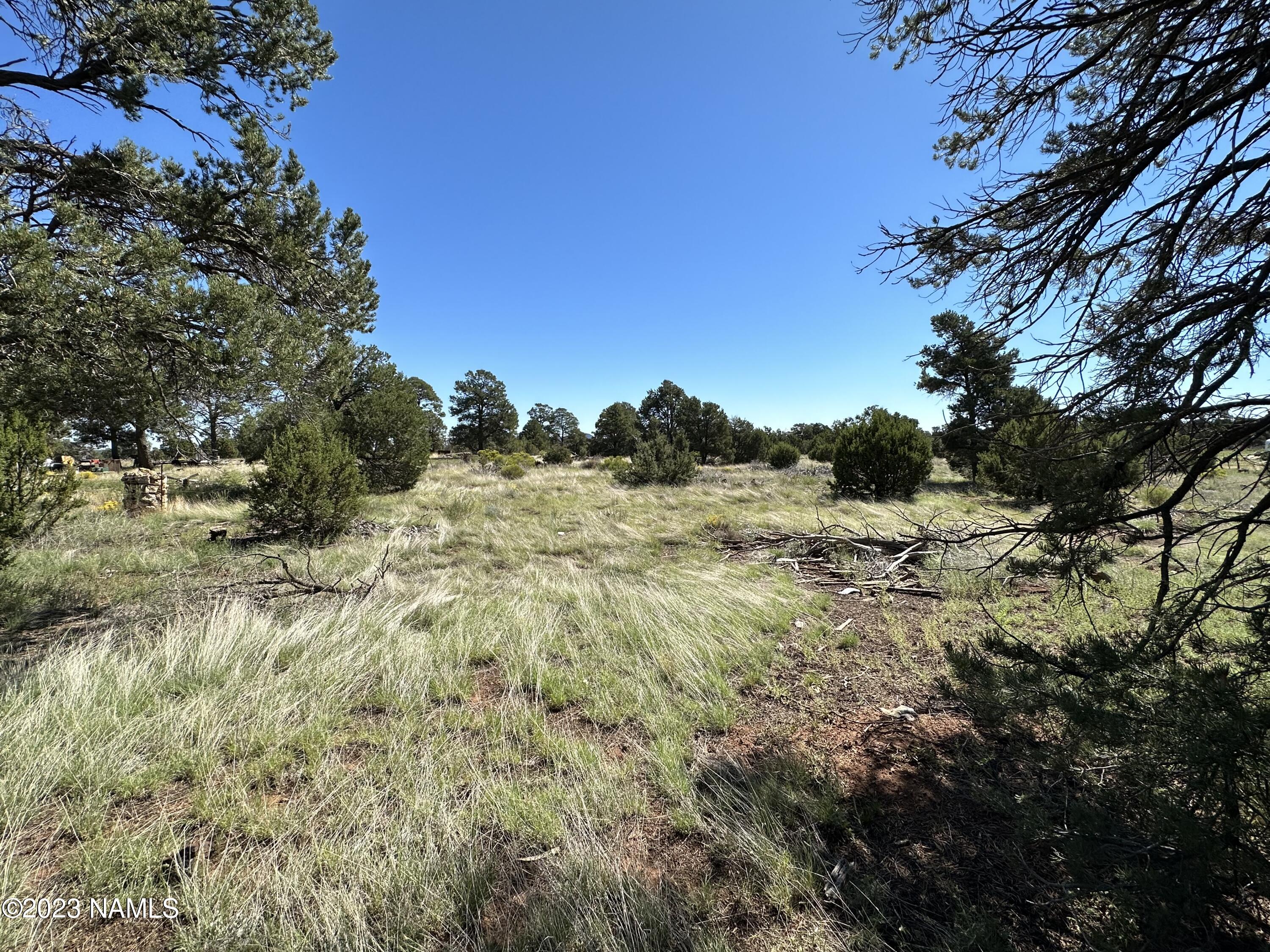 6237 Columbine Road Flagstaff, AZ 86004 - Photo 4 of 6 IMG_0129