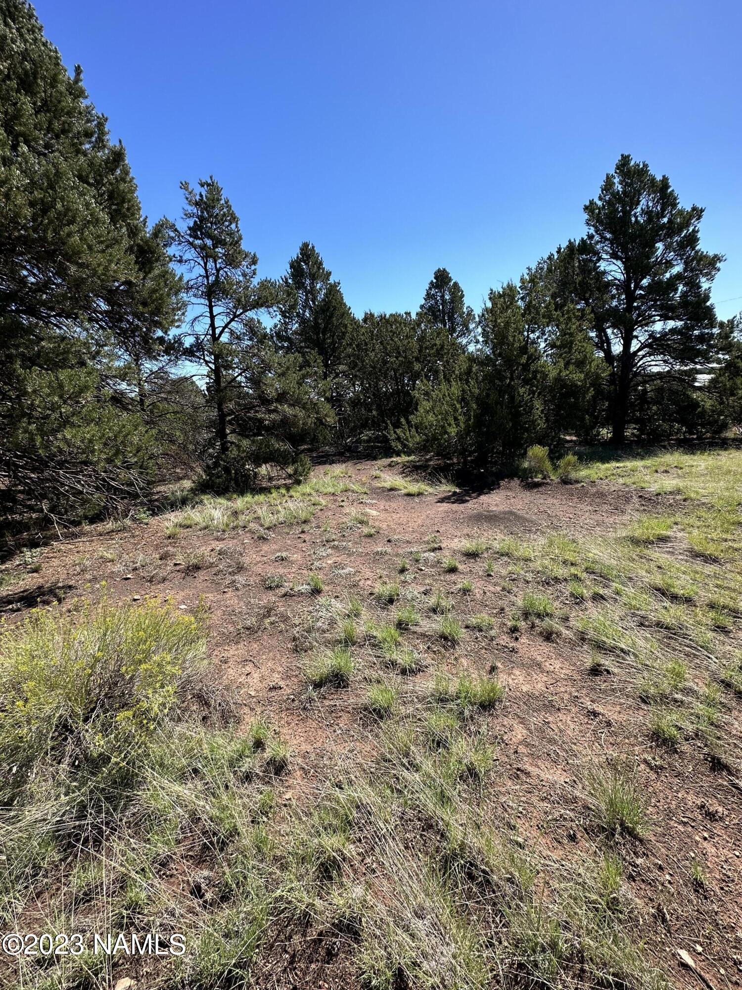 6237 Columbine Road Flagstaff, AZ 86004 - Photo 6 of 6 IMG_0105