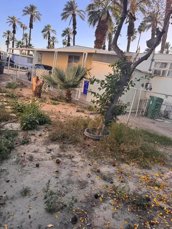 a view of a yard with a tree