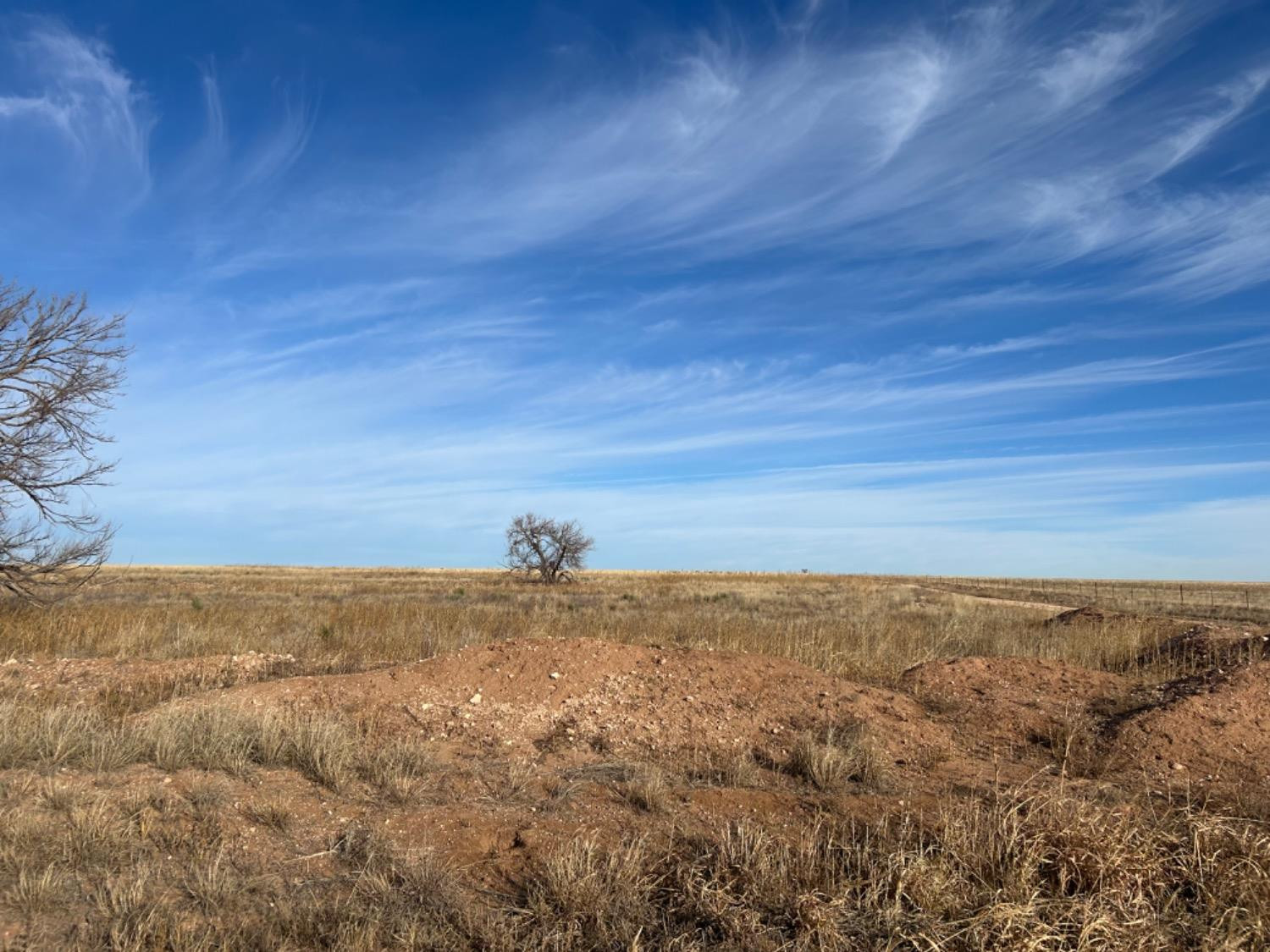 0 Fm 298 Sudan, TX 79371 - Photo 2 of 6 Photo 2