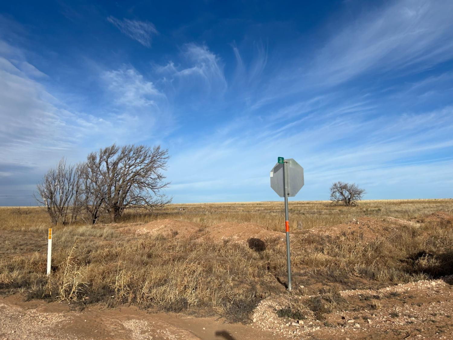 0 Fm 298 Sudan, TX 79371 - Photo 3 of 6 Photo 3