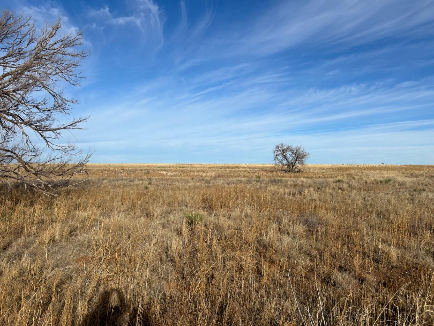 0 Fm 298 Sudan, TX 79371 - Photo 5 of 6 Photo 5