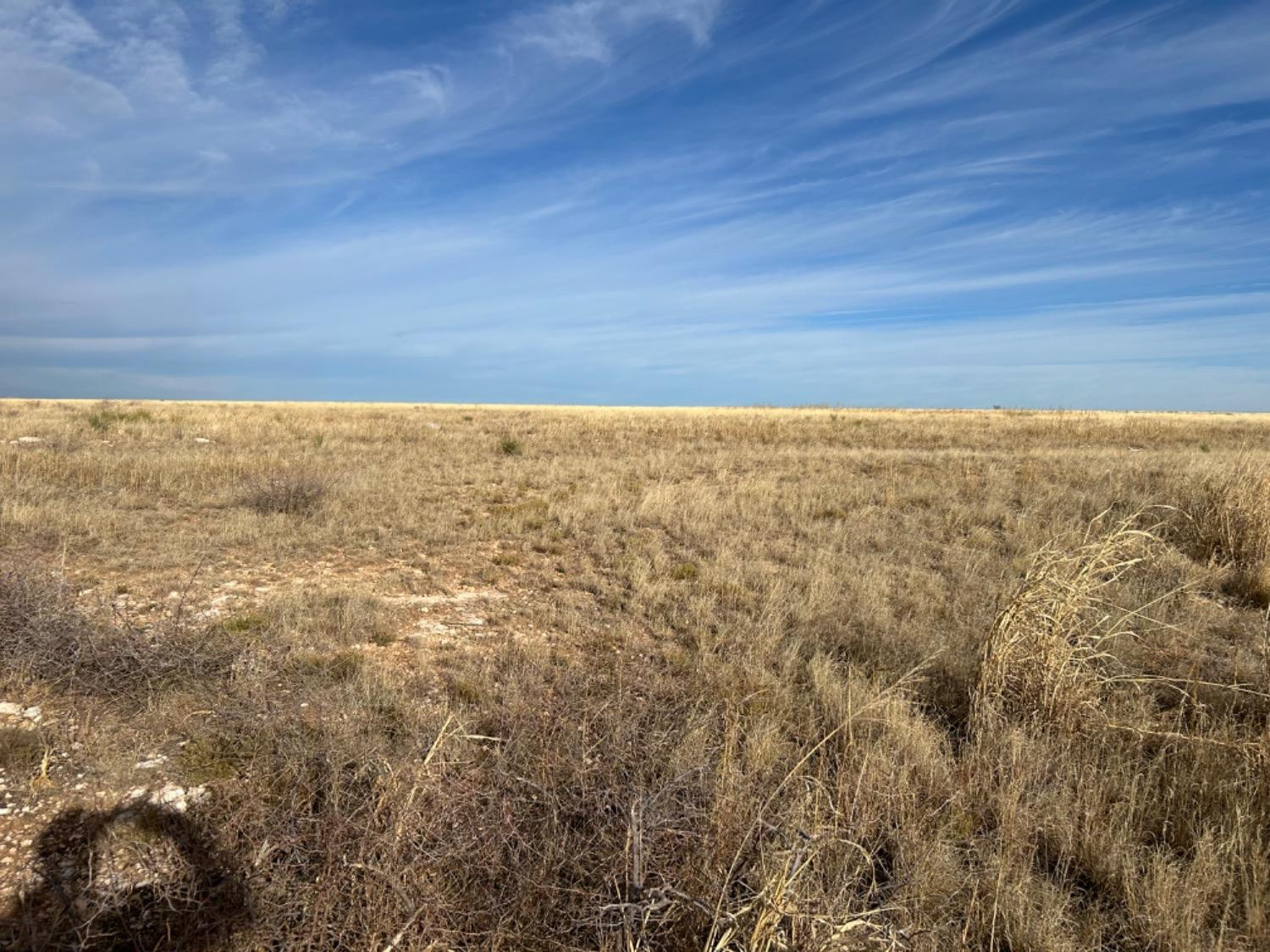 0 Fm 298 Sudan, TX 79371 - Photo 6 of 6 Photo 6