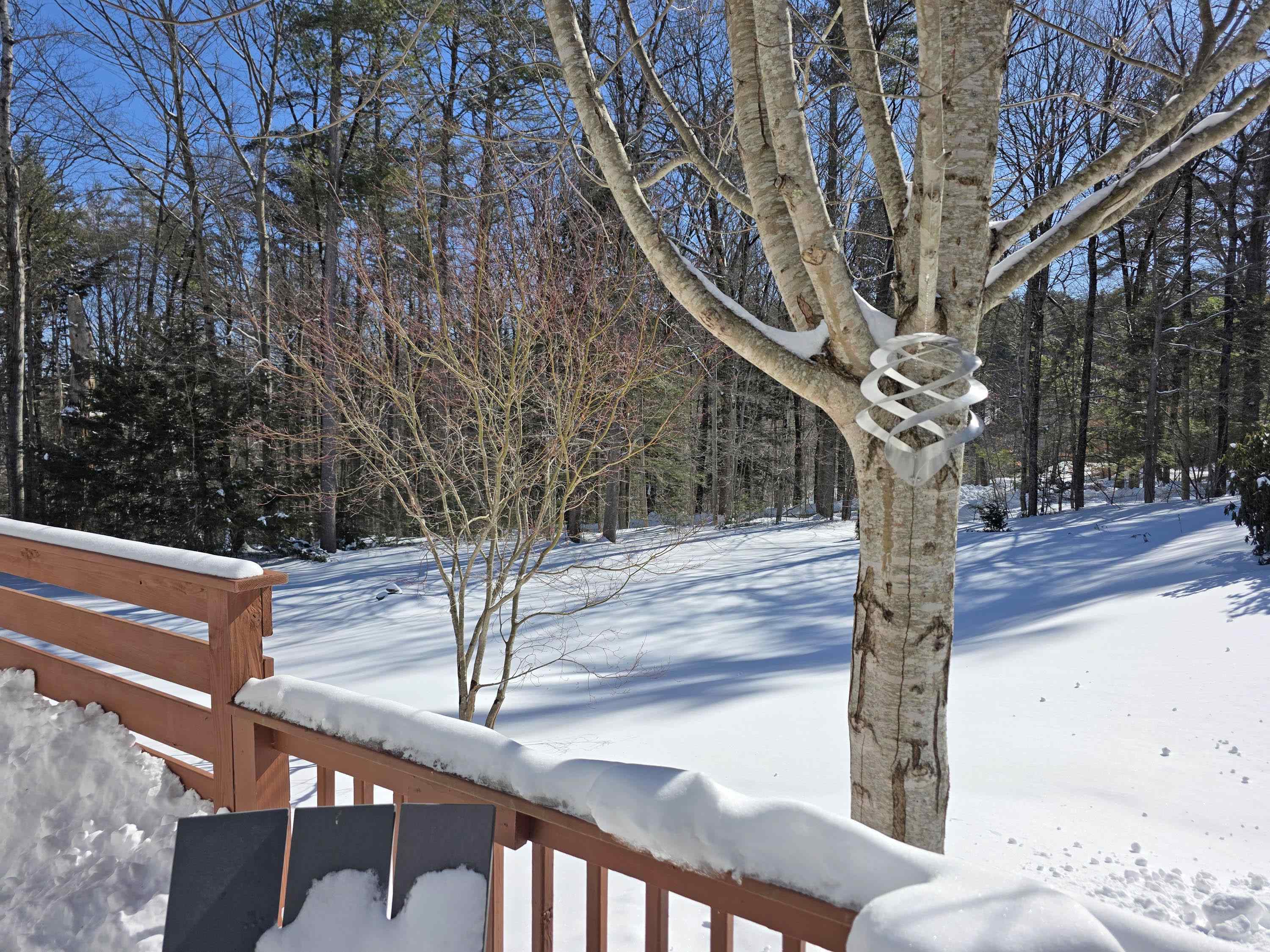 313 Pine Banks Road Putney, VT 05346 - Photo 25 of 37