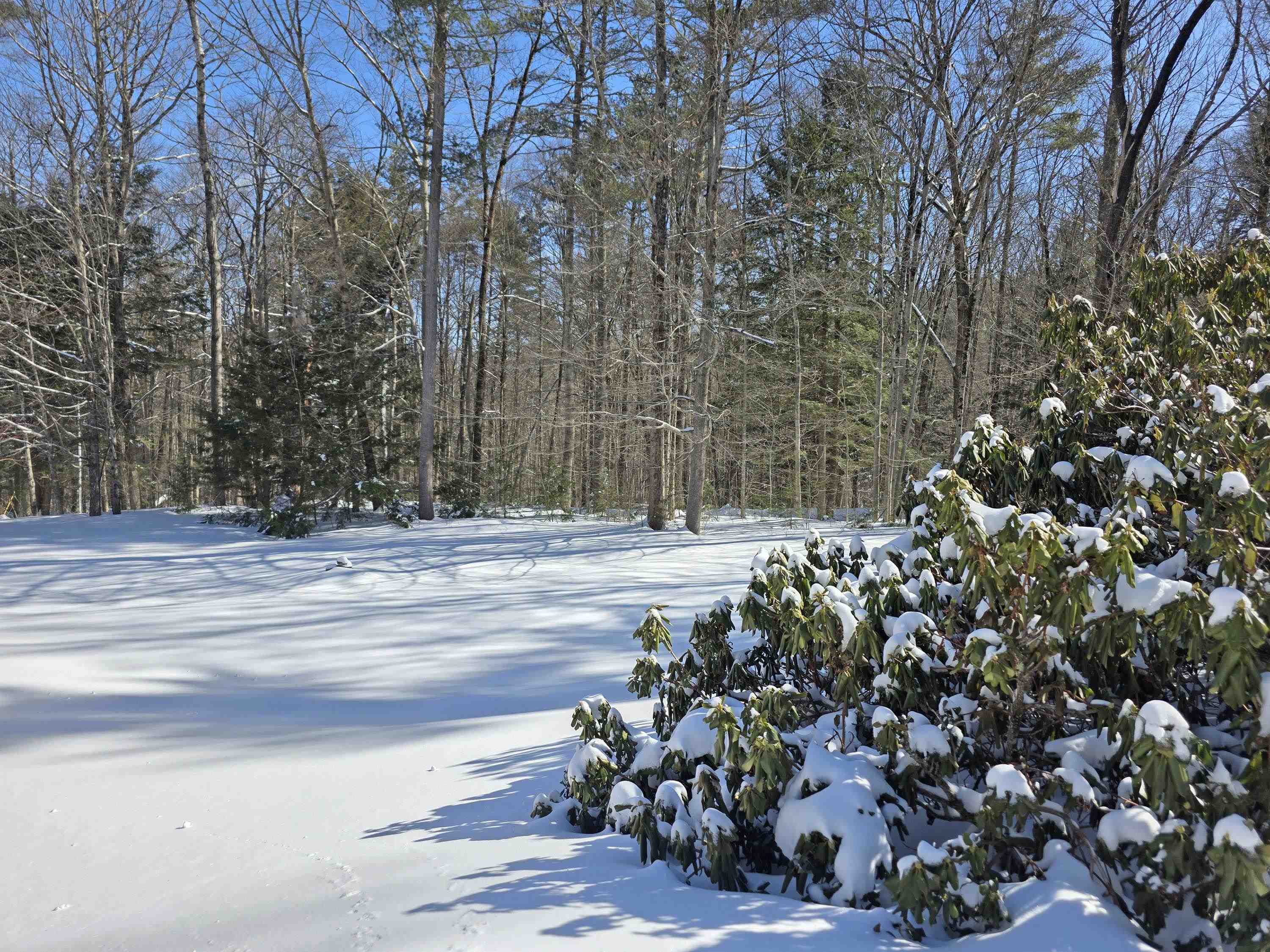 313 Pine Banks Road Putney, VT 05346 - Photo 27 of 37