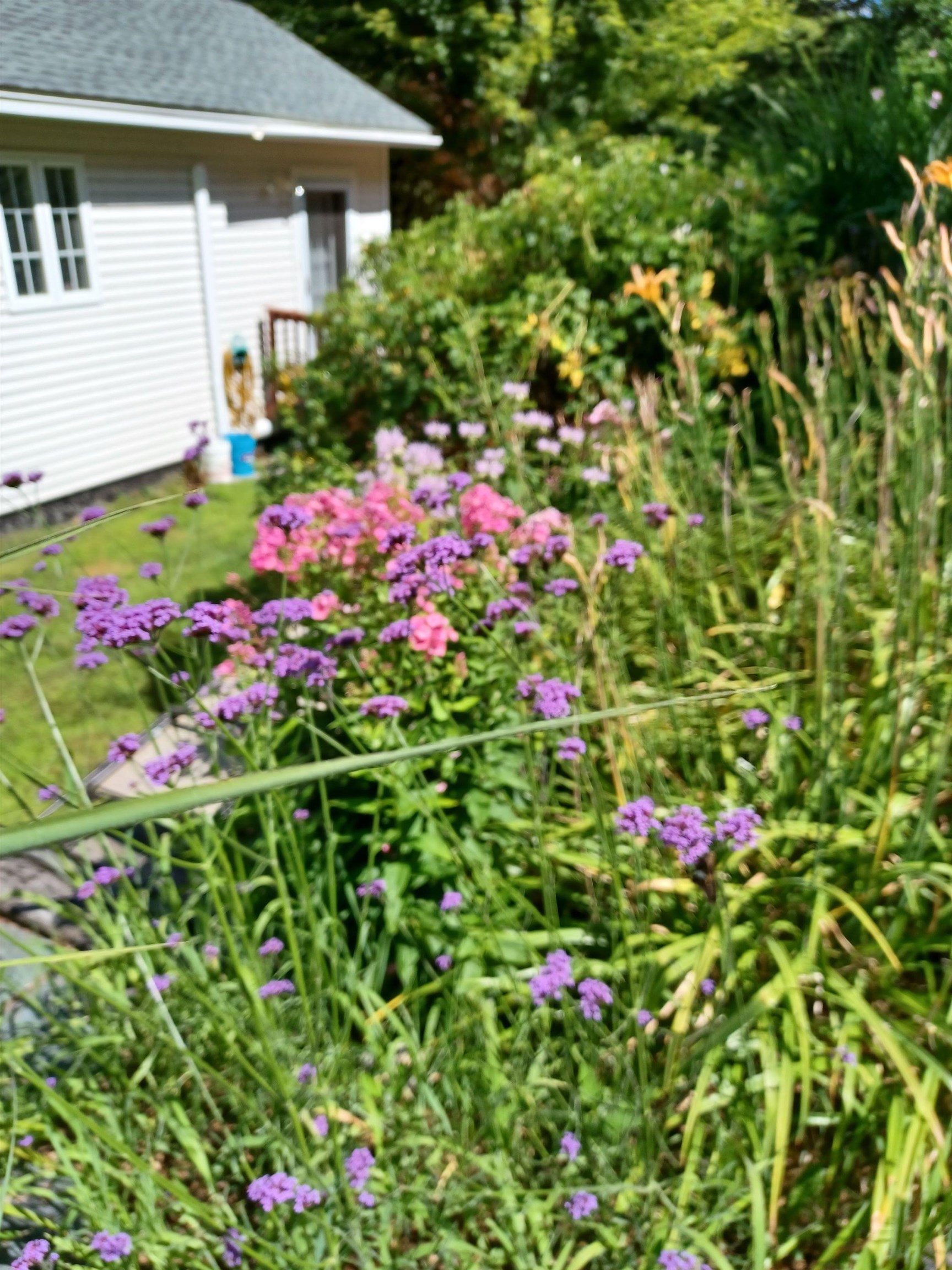 313 Pine Banks Road Putney, VT 05346 - Photo 34 of 37