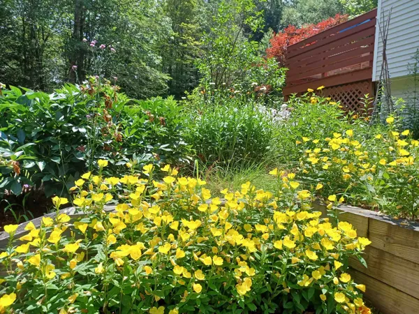 $495,000 | 313 Pine Banks Road, Putney, VT 05346