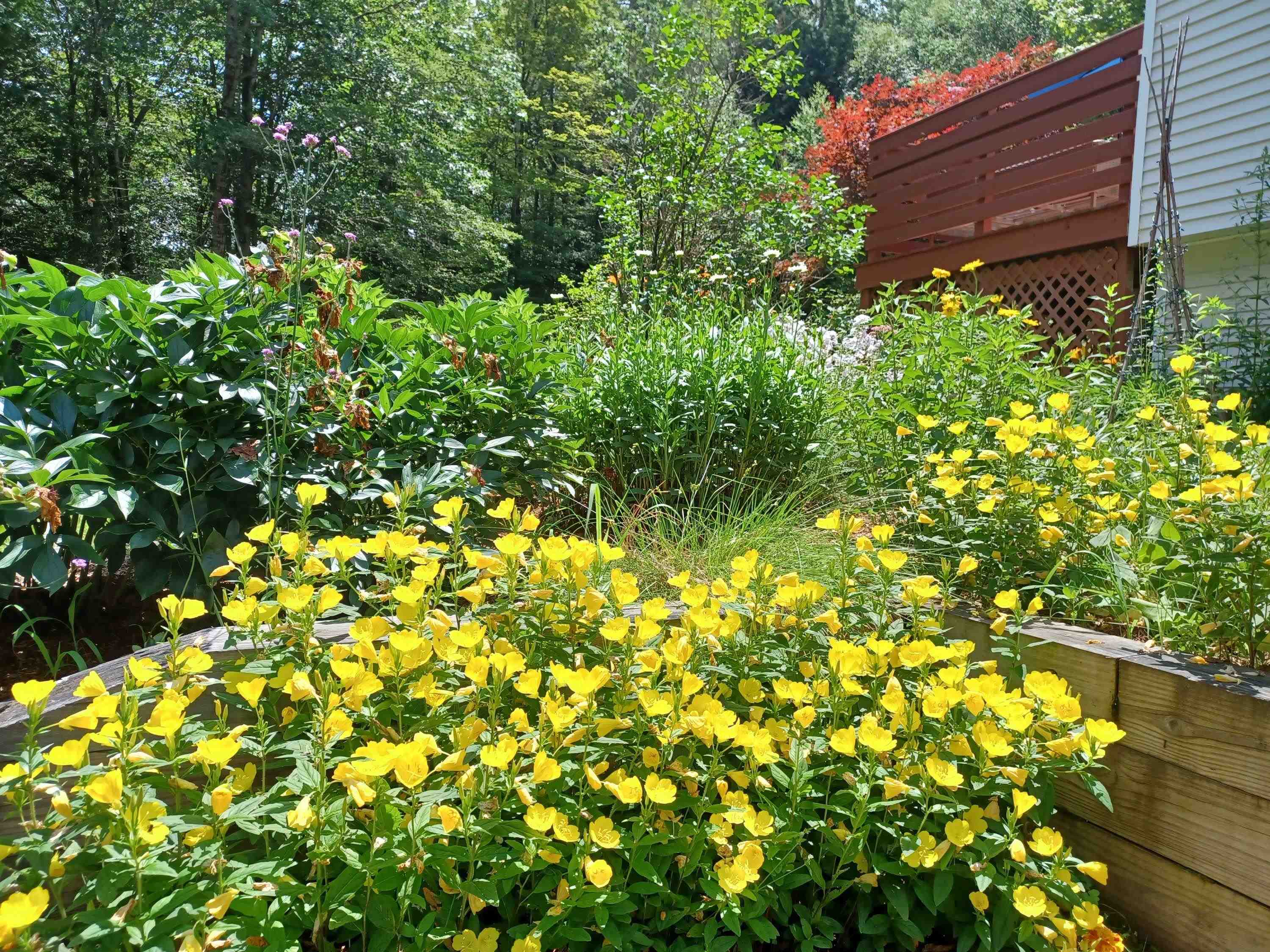 313 Pine Banks Road Putney, VT 05346 - Photo 37 of 37