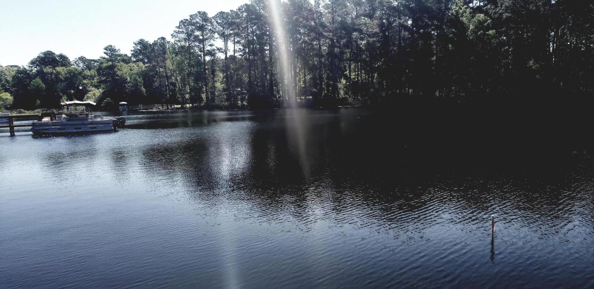 1459 Greenall Road Summerton, SC 29148 - Photo 33 of 43 water view 1