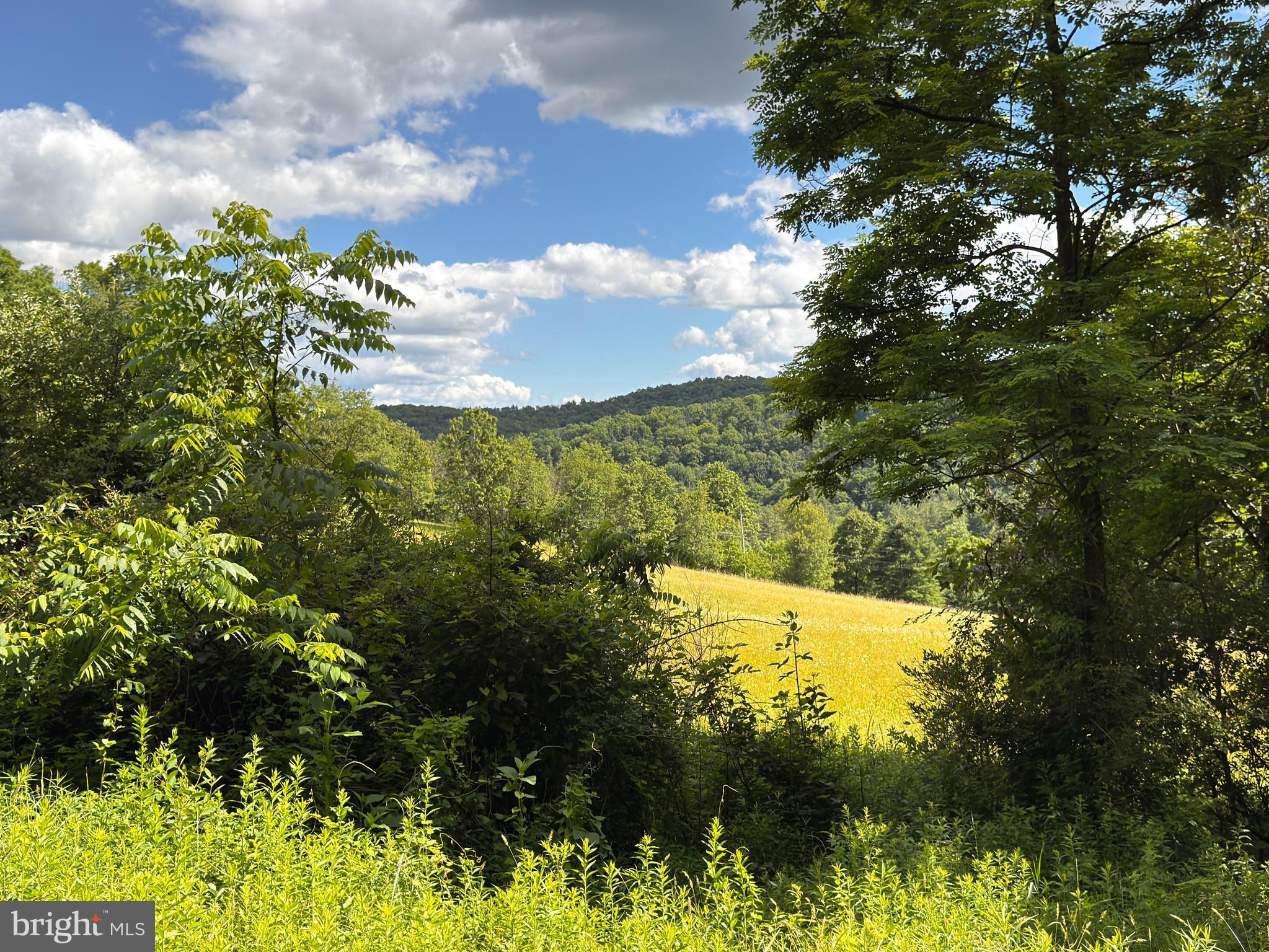 281 Whetstone Run Julian, PA 16844 - Photo 7 of 33