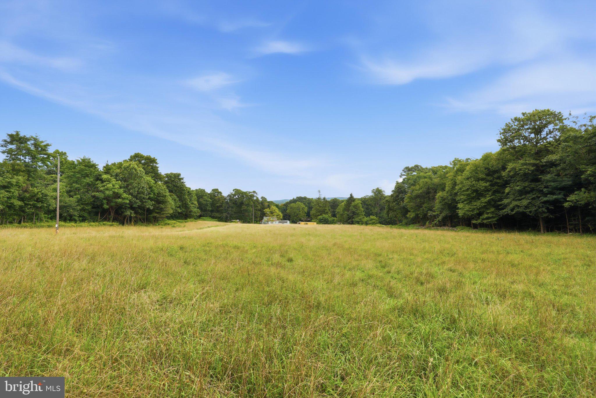 14417 Ridenour Road Smithsburg, MD 21783 - Photo 36 of 41 Land