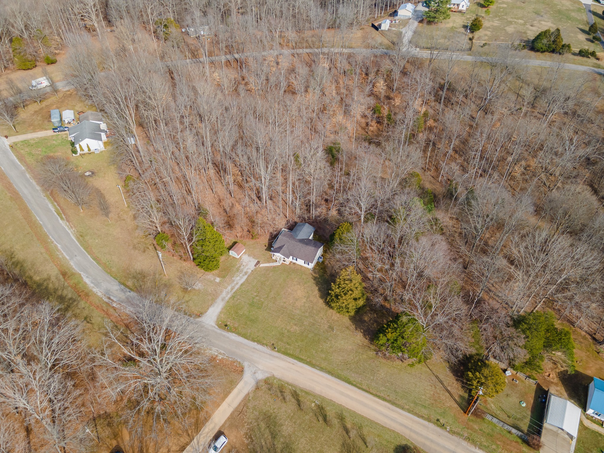 2640 Winding Way Road Culleoka, TN 38451 - Photo 16 of 51 a view of a plant in a garden