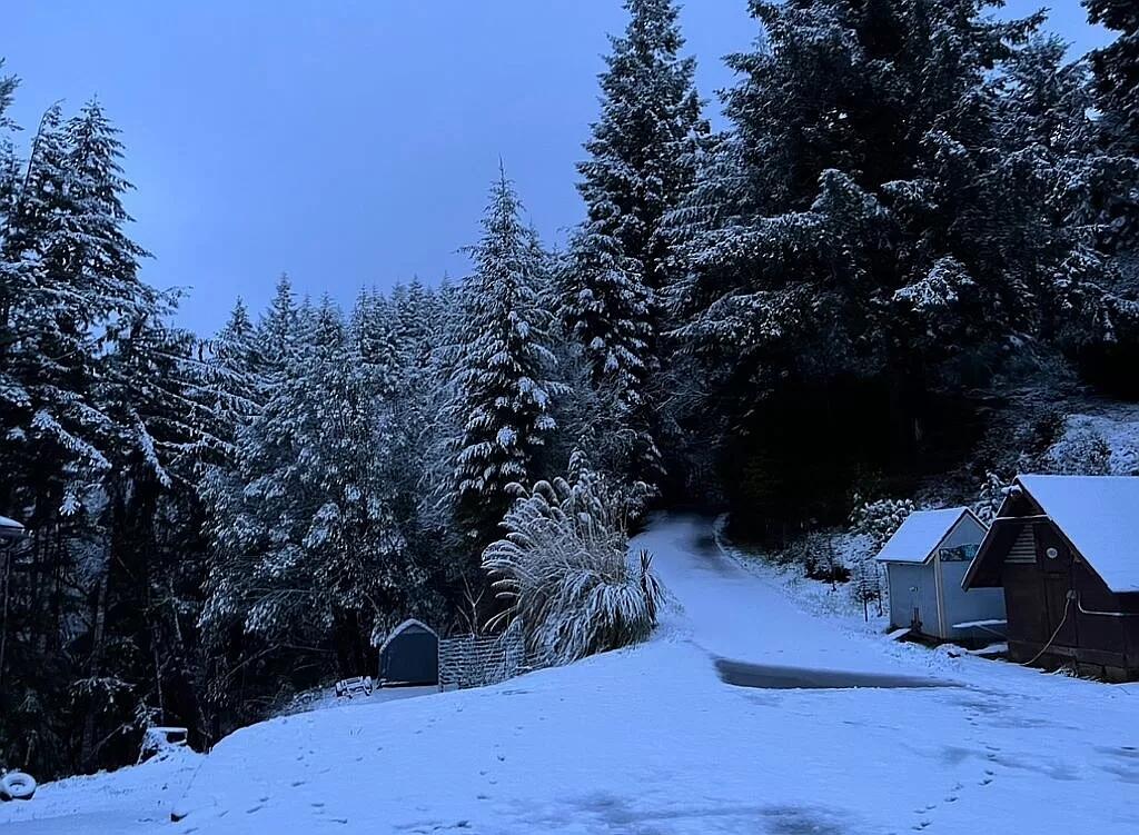 68593 Ridge Road North Bend, OR 97459 - Photo 53 of 53 35