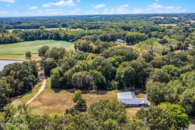 a view of a city with mountains in the background
