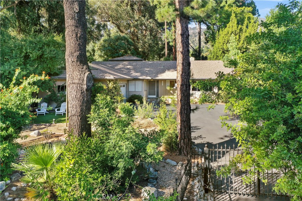 1237 Olive Lane La Canada Flintridge, CA 91011 - Photo 6 of 57 a view of a tree in front of house