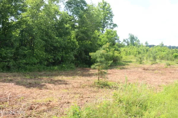 $109,900 | 1 North Nopone Valley Road, Decatur, TN 37322