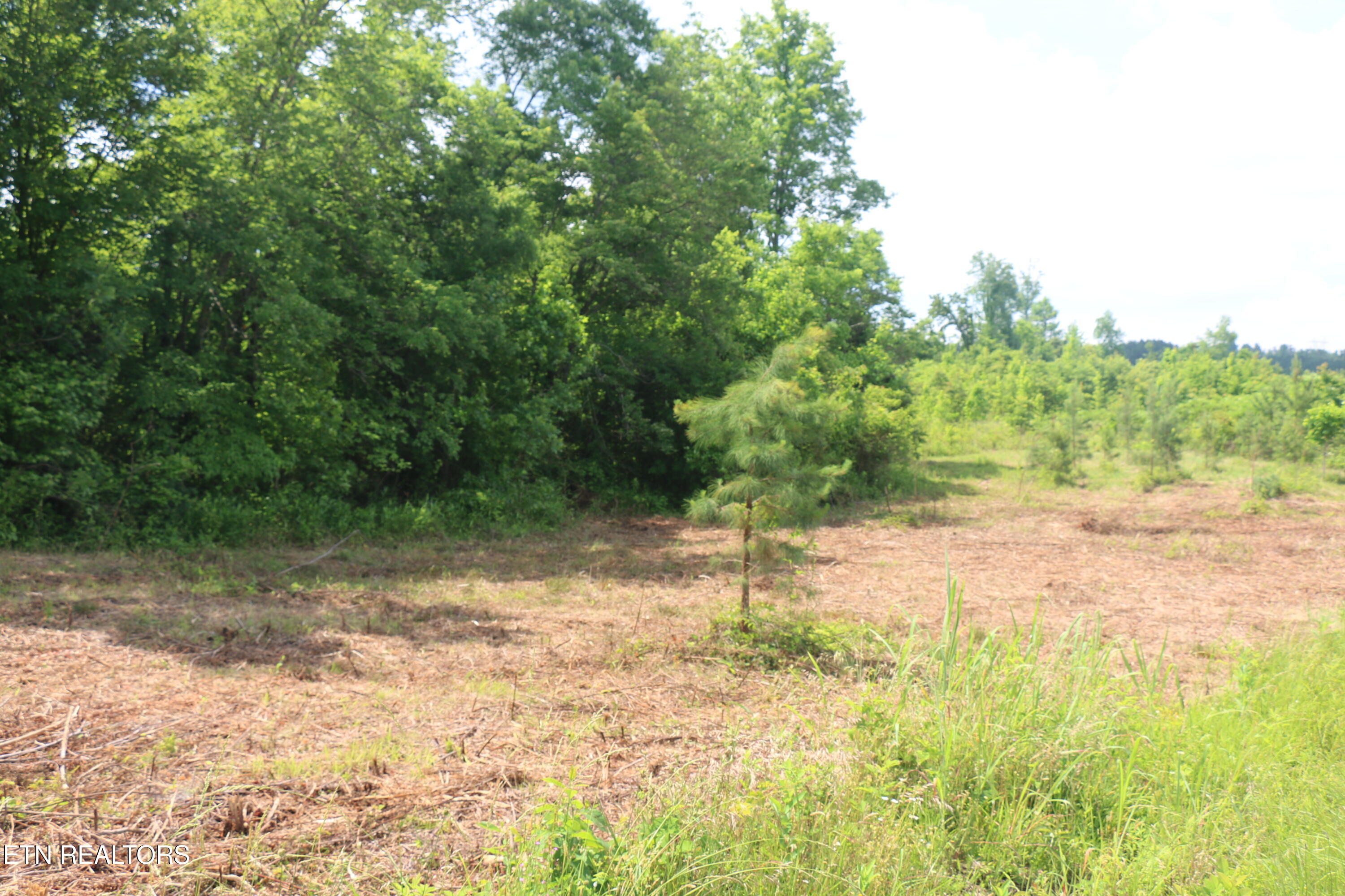 1 North Nopone Valley Road Decatur, TN 37322 - Photo 1 of 8 IMG_8455
