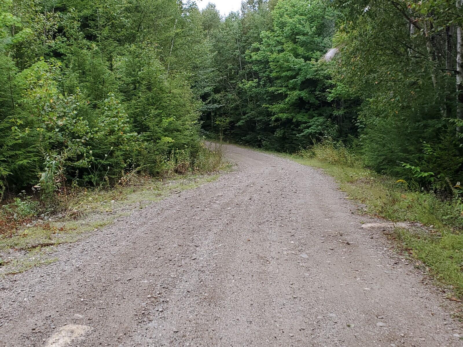 3 Homestead Road Lakeville, ME 04487 - Photo 11 of 13 20210823_152307