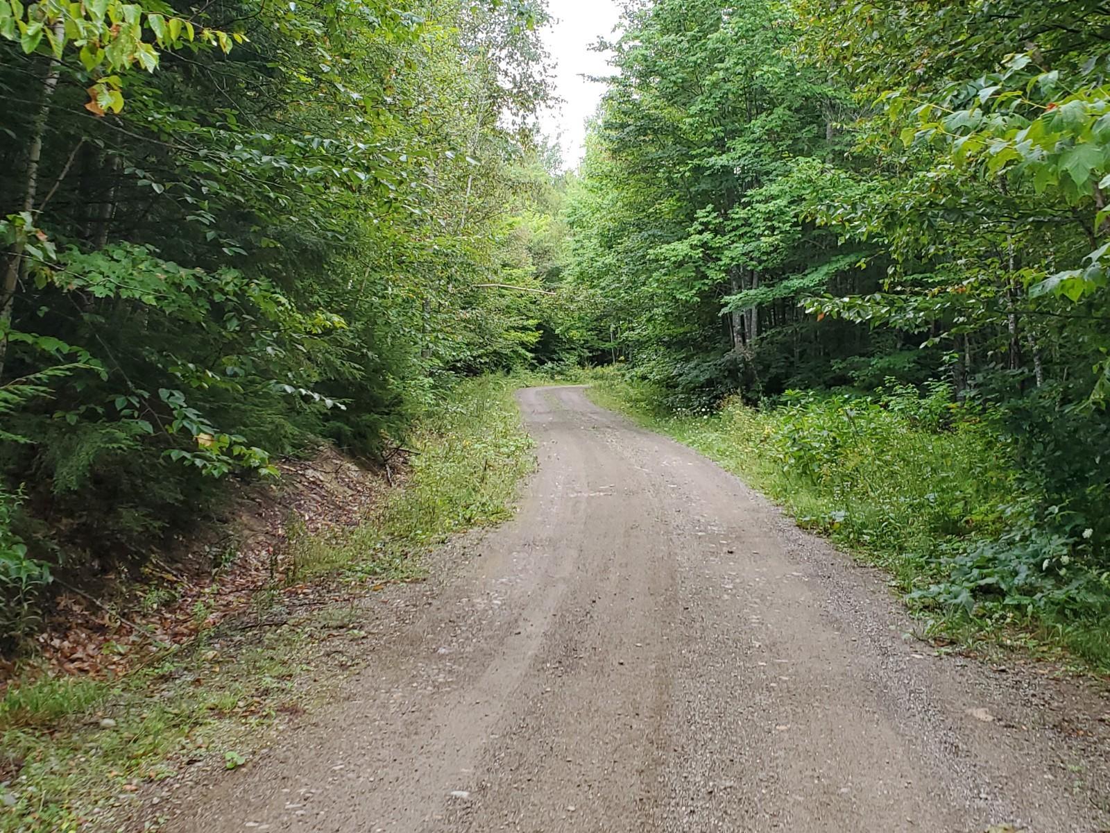 3 Homestead Road Lakeville, ME 04487 - Photo 12 of 13 20210823_152348