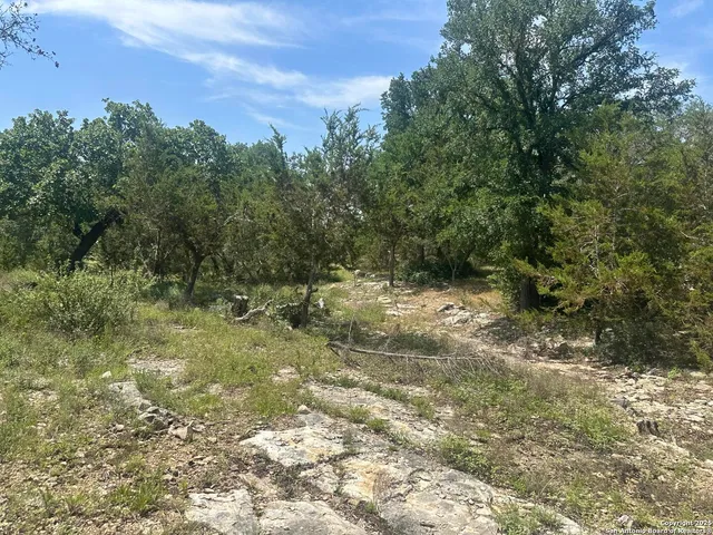 a view of outdoor space and trees