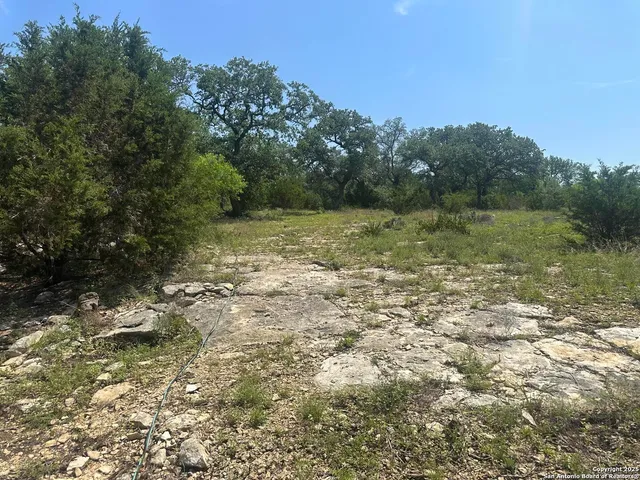a view of a yard with a tree