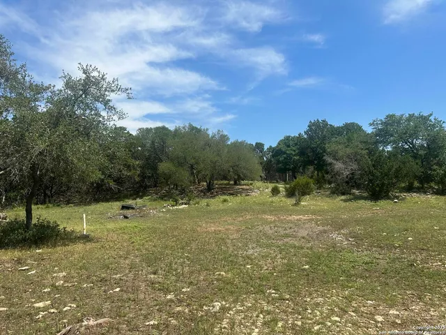 a view of outdoor space with trees all around