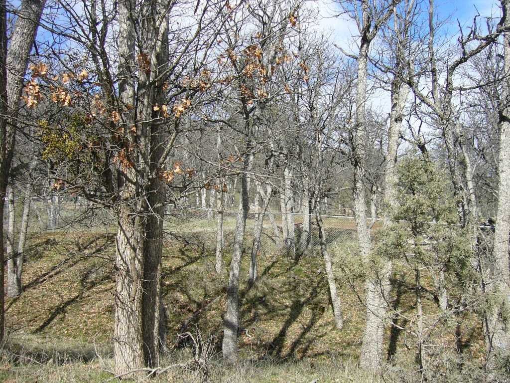 2.54 Acres Outsen Road Yreka, CA 96097 - Photo 6 of 17 Gallery Image 6