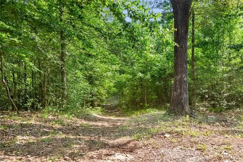 a view of a yard with a tree