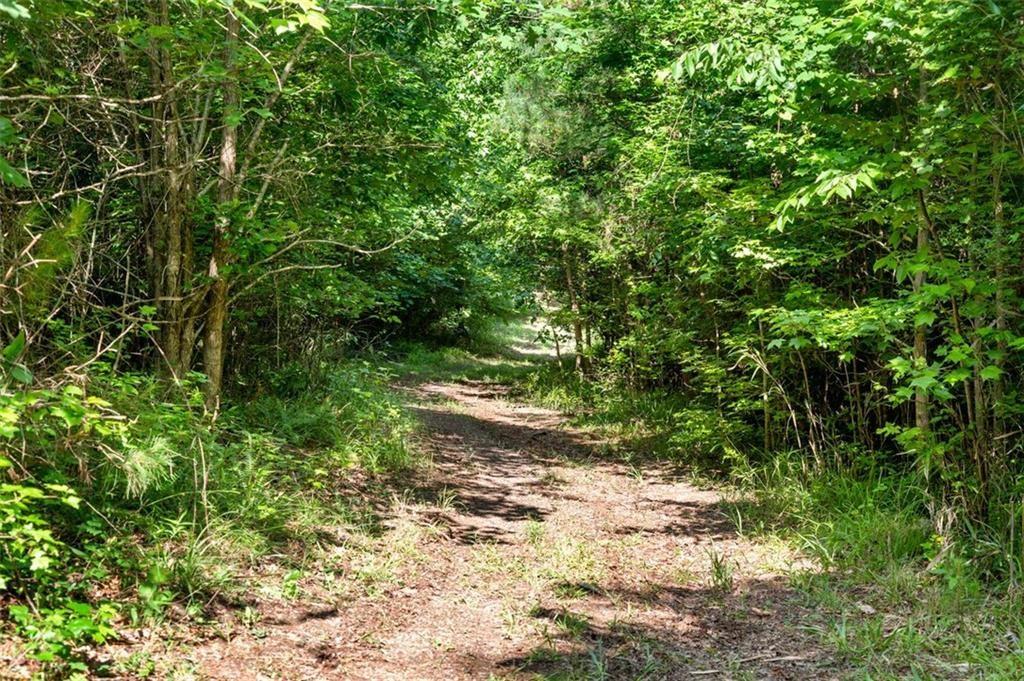 3030 Demooney Road College Park, GA 30349 - Photo 18 of 35 a view of a yard with plants and large trees