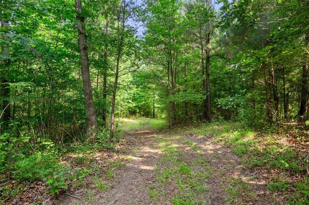 3030 Demooney Road College Park, GA 30349 - Photo 20 of 35 a big yard with lots of green space and deers