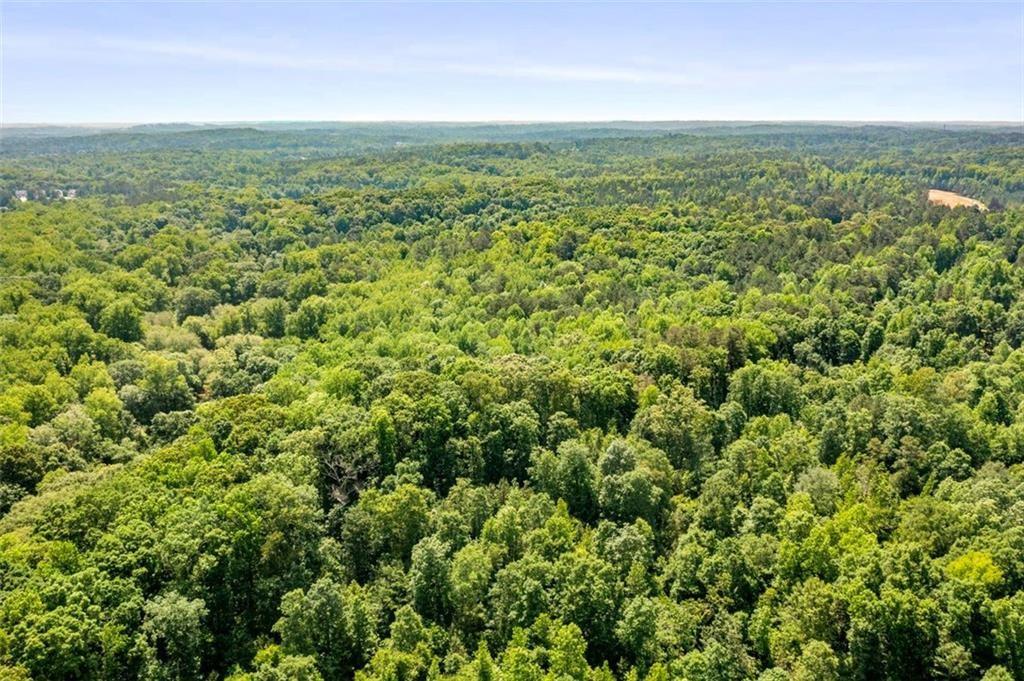 3030 Demooney Road College Park, GA 30349 - Photo 30 of 35 an aerial view of residential houses with outdoor space and trees