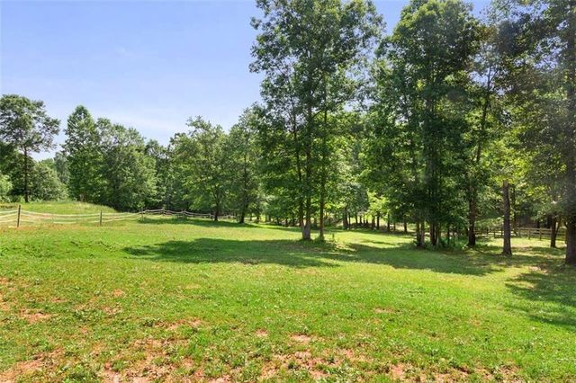 a view of a park with a tree