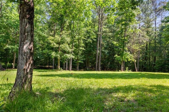 a view of yard with trees