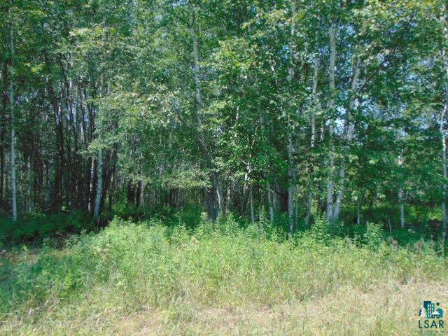 Abc Anderson Road Wright, MN 55798 - Photo 19 of 31 Gallery Image 19