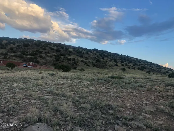 a view of a dry yard with trees