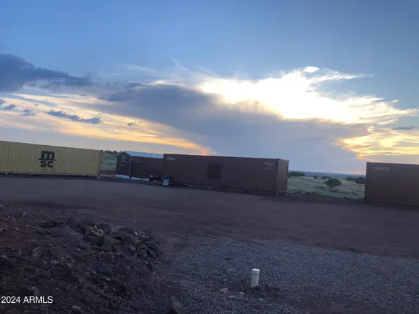 a view of a dry yard